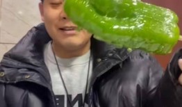 绍兴网红吃瓜事件视频最新,真相发酵，网络舆论场再掀波澜